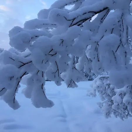 아파트 By The River 이발로