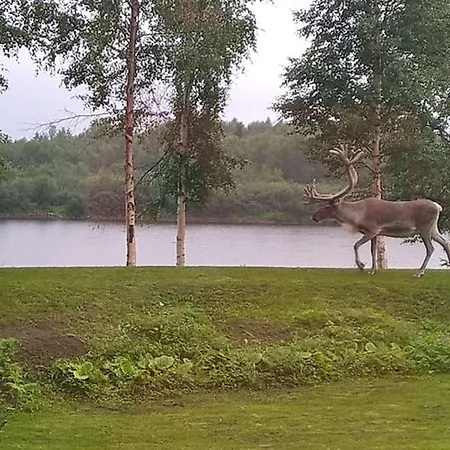 By The River Ivalo