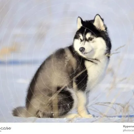 شقة By The River إيفالو