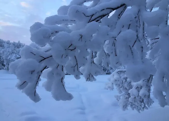 Lägenhet By The River Ivalo