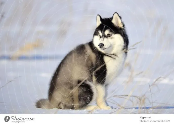 דירה By The River איבלו